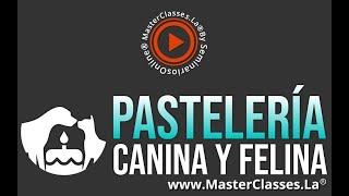 Pastelería Canina y Felina EmprendimientoInicia tu propio negocio