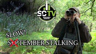 S&C TV | Slow-tember Stalking | Deer management with Chris Rogers 35