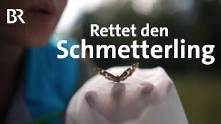 Der Schmetterling: Schön und nützlich für Natur und Kultur | Capriccio | BR