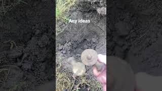 Metal detecting any ideas people