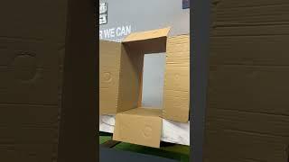 50% genius, 50% chaos, 100% fun!   | Code Wise