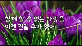 박상민 - 하나의 사랑