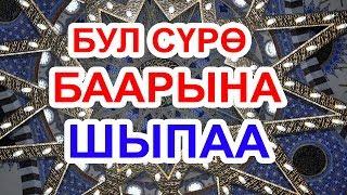 ФАТИХА СҮРӨСҮ 41 ЖОЛУ