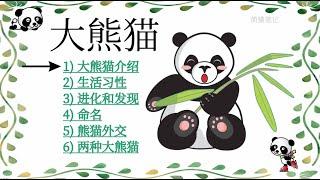 了解大熊猫国宝熊猫Panda介绍| 可爱萌动物 猫熊 生活习惯 特点 进化和发现｜熊猫外交 四川大熊猫和陕西大熊猫