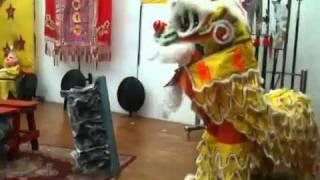 Lion dance ( Fut hok style )