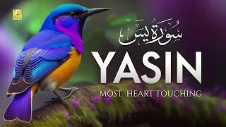 Surah Yaseen Most Beautiful Recitation | (سورۃ یٰس) Surah Yasin