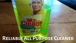 Mr. Clean All Purpose Liquid Cleaner