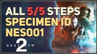 All Steps Specimen ID NES001 Destiny 2