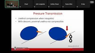 UW Urology Grand Rounds: Surgical Treatment of SUI – 5/15/2024