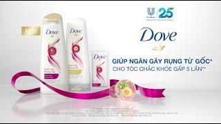 Dove – Giúp ngăn tóc gãy rụng từ gốc – Mới