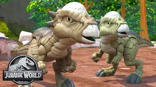 Training With the Baby Dinos | Jurassic World | Kids Adventure Show | Dinosaur Cartoons