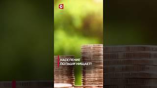 Население Польши нищает! | Причины всплеска магазинных краж #shorts