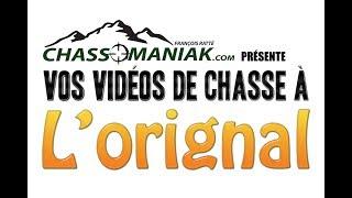 Vos vidéos de chasse à l'orignal (Chassomaniak old stuff)