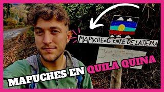 QUILA QUINA en San Martín de los Andes  PUEBLO MAPUCHE Argentino