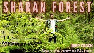 My first Vlog | Story of Paradise | Sharan forest | شڑان کاغان ویلی | beautiful Kaghan valley