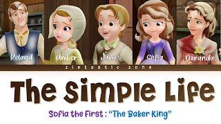 The Simple Life - Color Coded Lyrics | Sofia the First "The Baker King" | Zietastic Zone