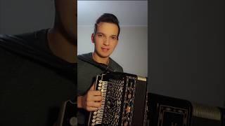 Деньги свистнул #гармонь #частушка #песниподгармонь #страдания #наигрыши