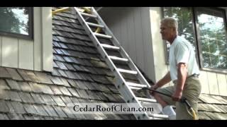 Cedar Roof Cleaning (Without Pressure Washers) 🪜in Apple Valley, Minnesota (Softwash System)