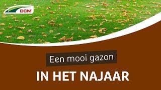 Mooi gazon in het najaar - DCM Gazonmeststof Najaar