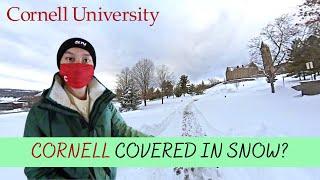 Final week of winter break - Cornell after snowstorm