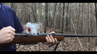 Marlin Model 55 Goose Gun