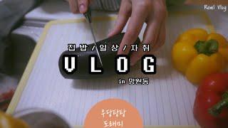 [Vlog] 망원동 여자의 집밥과 일상과 자취의 Vlog