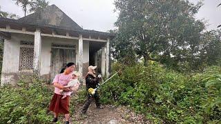 Hazards Insects Mosquitoes Neighbors Help Clean Abandoned Houses Cut overgrown grassTransformation