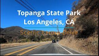 4k/60 Topanga State Park, California Scenic Drive  - 1 Hour