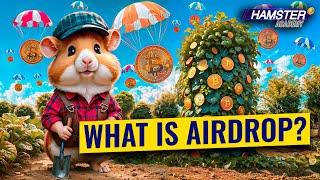 From Zero to Crypto Hero: Mastering Airdrop Farming with Hamster Academy️