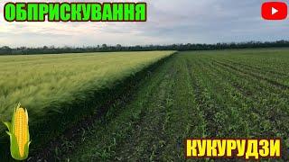 ОБПРИСКУВАННЯ КУКУРУДЗИ ВІД БУР'ЯНІВ | ГЕРБІЦИДАМИ "МІЛАНО КС-ПРІМА СЕ" | ЮМЗ-6+ОПРИСКУВАЧ 04.06.21