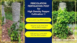 All India Radio features Joby Sebastian & High Density Pepper Cultivation using PFP (+919048365013)