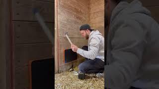 Our chickens just got a much-needed upgrade! Choose a safer and more efficient Chicken Coop Heater