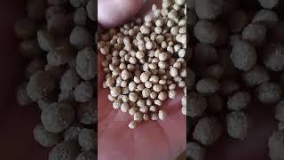 300kg/h Floating fish feed pellet machine