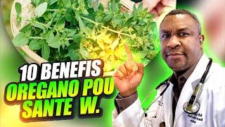 OREGANO (GWO TEN) se yon PHARMACIE NATUREL