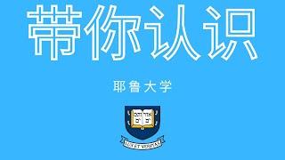 美国大学介绍篇-耶鲁大学