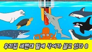 한국어ㅣ우리집 세면대 밑에 상어가 살고 있다 8, 어린이 동물 만화, 상어와 고래 이야기ㅣ꼬꼬스토이