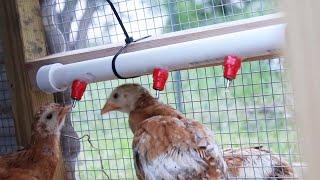 (DIY) PVC Pipe Chicken Waterer