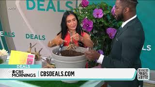 CBS Morning Deals - In Case You Missed It - May 27th, 2024