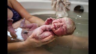 The Waterbirth of Holland | A Surprise Gender Birth Center Story