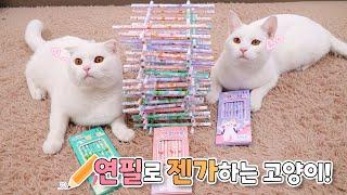 What Happens When You Play Jenga With Cats (ENG SUB)