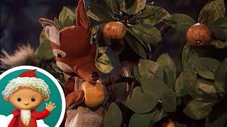 Herr Fuchs auf dem Apfelbaum | Ganze Folge mit dem Sandmännchen