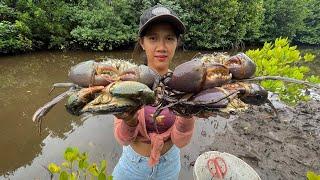 Unique Fishing - Catch Huge Mud Crabs at The Sea Swamp after Water Low Tide