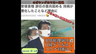 安倍総理辞任〜‼️