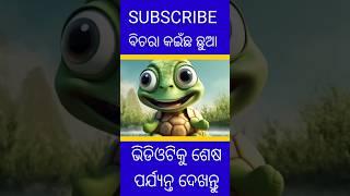 ଗୋଟିଏ କଇଁଛ ର କାହାଣୀ#ytshort#shortstory #odiakahani#cartoonvideoexplained #odiacartoonshort#shortfeed