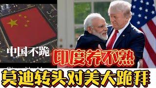 印度养不熟背刺中国，转头对美大跪拜，应该踢出金砖国家！#印度#美国 #金砖#关税战#中美
