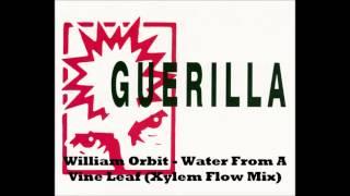 William Orbit - Water From A Vine Leaf (Xylem Flow Mix)