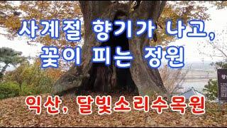 향기가 은은하고, 사계절 꽃이 있는 정원,  정원 카페, 전북 익산 달빛소리수목원, garden, gardening