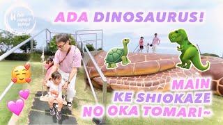 MAIN KE TAMAN SHIOKAZE NO OKA TOMARI ‼️ADA YANG TAKUT DINOSAURUS