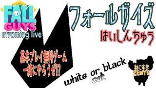 一緒にやろうよ！！無料ゲーム・フォールガイズのライブ配信、さらに解説を聞くだけでビギナーがうまくなる