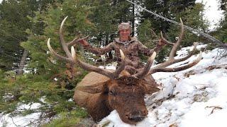 Idaho Rifle Elk Hunt (12 miles deep on PUBLIC LAND)